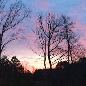 Meet your Posher, Ava